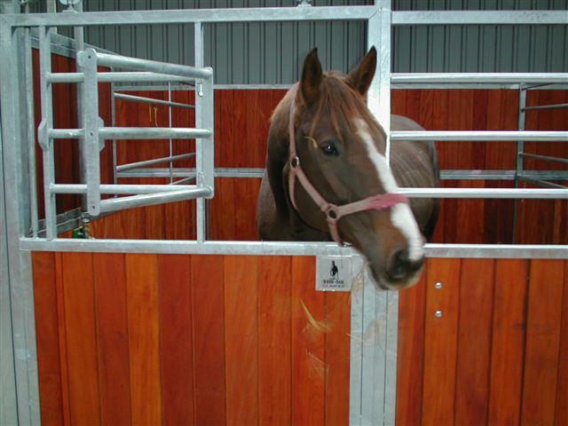 Billede af hesteboks med hest